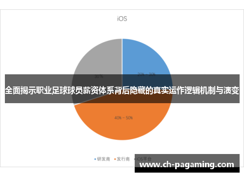 全面揭示职业足球球员薪资体系背后隐藏的真实运作逻辑机制与演变