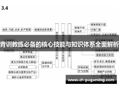 青训教练必备的核心技能与知识体系全面解析
