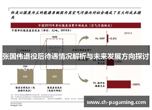 张国伟退役后待遇情况解析与未来发展方向探讨